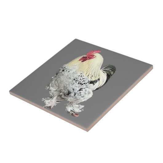 壮大なコケレルNo 2 タイル (側面)