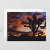 壮大なサンライズアットジョシュアツリーナショナル ポストカード (正面/裏面)