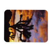 壮大なサンライズアットジョシュアツリー国立公園 マグネット (横)