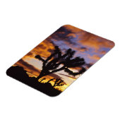 壮大なサンライズアットジョシュアツリー国立公園 マグネット (左側)