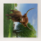 壮大なスコットランドのハイランドカウズ ジグソーパズル (横)