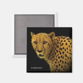 壮大なチーズで輝きを取り入れ マグネット (正面/裏面)