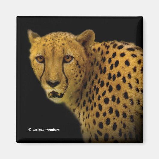 壮大なチーズで輝きを取り入れ マグネット (正面)