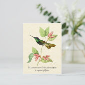 壮大なハミングバードヴィンテージアート ポストカード (スタンド正面)