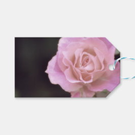 壮大なピンクのバラ ギフトタグ