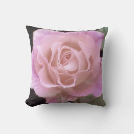 壮大なピンクのバラ クッション