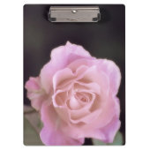 壮大なピンクのバラ クリップボード (正面)