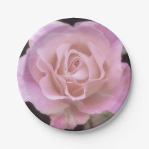 壮大なピンクのバラ