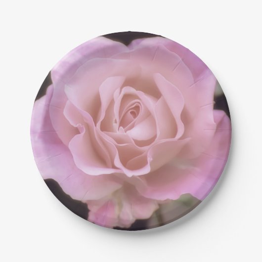 壮大なピンクのバラ ペーパープレート (正面)