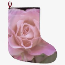 壮大なピンクのバラ