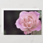 壮大なピンクのバラ 便箋 (正面/裏面)