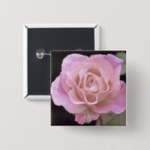 壮大なピンクのバラ 缶バッジ (正面&裏面)