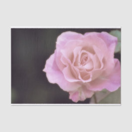 壮大なピンクのバラ 薄葉紙