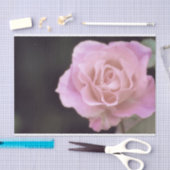 壮大なピンクのバラ 薄葉紙 (クラフト)