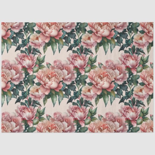 壮大なピンクの花の牡丹の分離 薄葉紙 (正面)