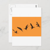 壮大なフリゲート鳥ガラパゴス諸島 ポストカード (正面/裏面)