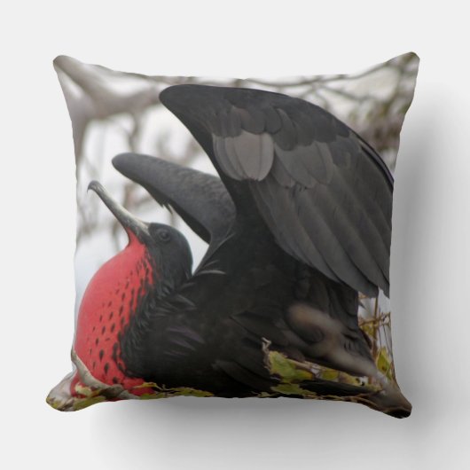 壮大なフリゲート鳥 クッション (正面)