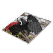 壮大なフリゲート鳥 タイル (側面)