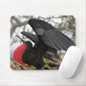 壮大なフリゲート鳥 マウスパッド (マウス)