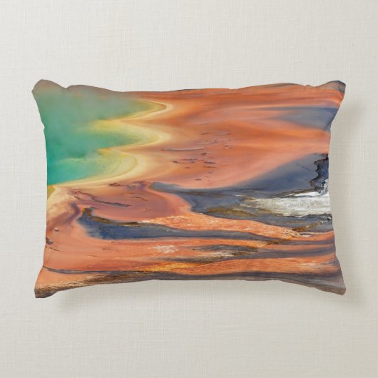 壮大なプリズム春の雨水 アクセントクッション (正面)