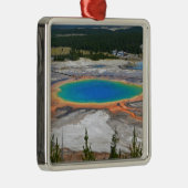 壮大なプリズム春 メタルオーナメント (右)