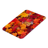 壮大なメープル葉 マグネット (左側)