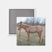 壮大なラバ! マグネット (正面/裏面)