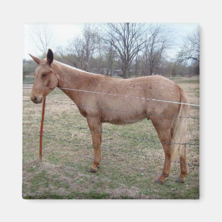 壮大なラバ！ マグネット