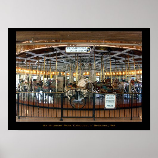 壮大な回転木馬ポスター ポスター (正面)