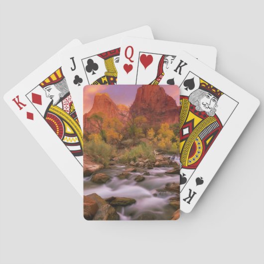 壮大な夜明け トランプ (裏面)