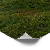 壮大な景色 ポスター (角)