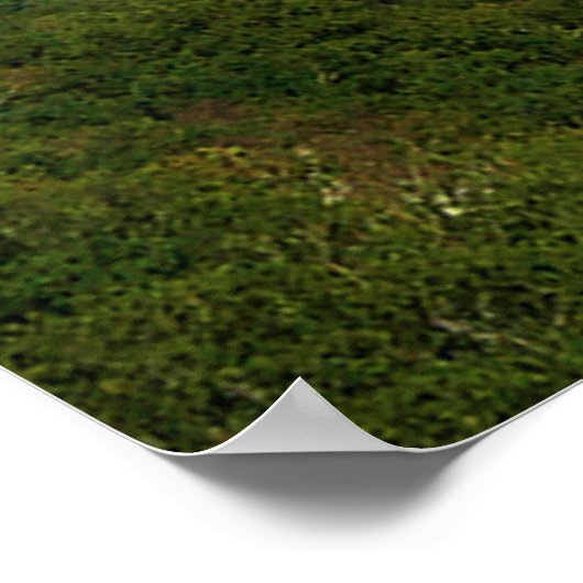 壮大な景色 ポスター (角)