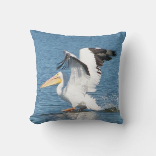 壮大な枕のモモイロペリカン クッション (正面)