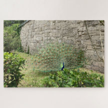 壮大な瞬間の展開 - 静かな残り火パズル