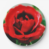 壮大な赤いローズラブ ペーパープレート (正面)