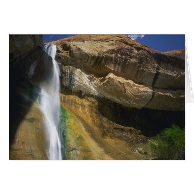 壮大な階段 – エスカランテ国家記念碑 (正面横)