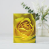 壮大な黄色のローズマクロ写真 ポストカード (スタンド正面)