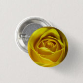 壮大な黄色のローズマクロ写真 缶バッジ (正面&裏面)