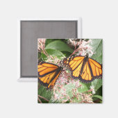 壮大な（昆虫）オオカバマダラ、モナークバイグレゴリーガロ マグネット (正面/裏面)