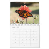 壮大な（昆虫）オオカバマダラ、モナーク2025カレンダー カレンダー (3月 2026)