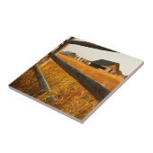 壮大なTetonの農場の家そしてレールフェンス タイル (側面)