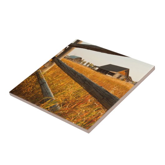 壮大なTetonの農場の家そしてレールフェンス タイル (側面)