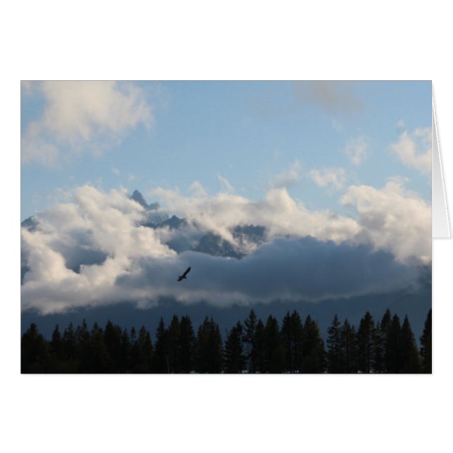 壮大なTetonsおよびタカ (正面横)