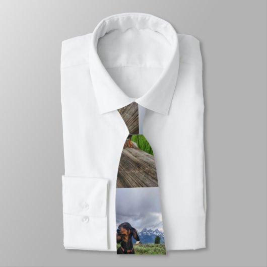 壮大なTetons ネクタイ (タイ)