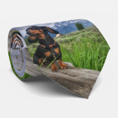 壮大なTetons ネクタイ (ロール)