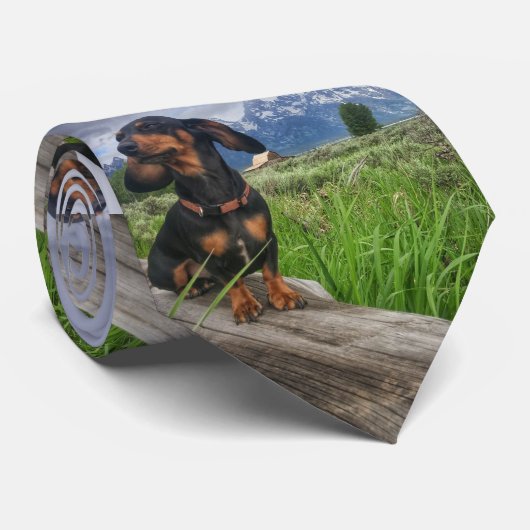 壮大なTetons ネクタイ (ロール)