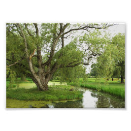 壮大の緑前に フォトプリント