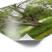 壮大の緑前に フォトプリント            (角)