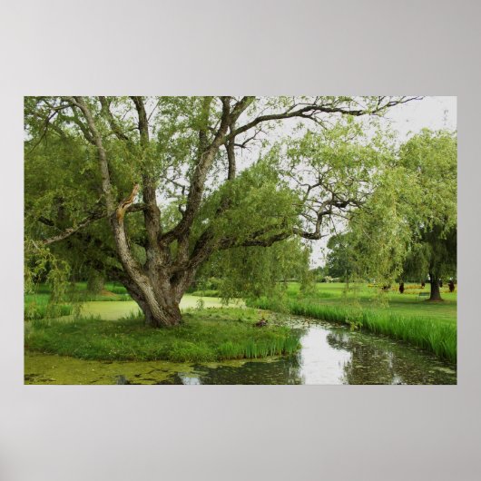 壮大の緑前に ポスター (正面)