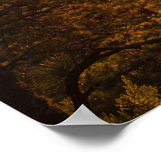 壮観なサンタフェの夕日：高い砂漠の写真 ポスター (角)